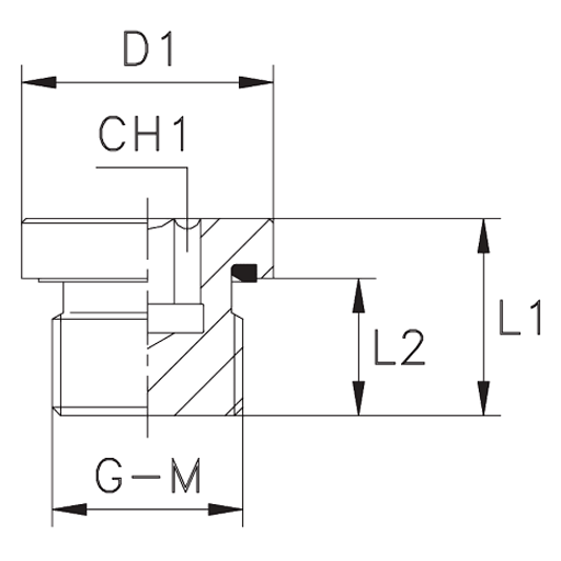 Пробка металл R 1/8" INSEXPLUGG